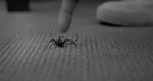 z1zsz.gif.pagespeed.ce.gT3Aa7F1f4.gif