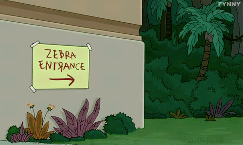 zebra.gif