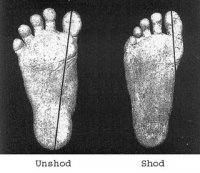 unshod-footvs-shod-foot.jpg