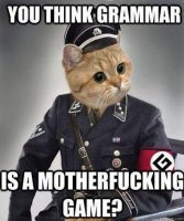 grammar nazi 1.jpg