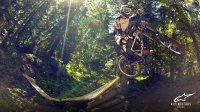 mtb-downhill-freeride-693727.jpg