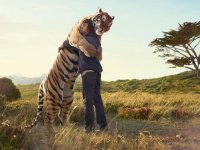hugs-love-jungle-animals-tigers-men-hug-wild-tiger-186729.jpg