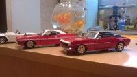 WP_20141130_013[1].jpg