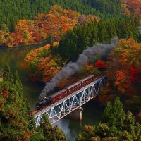 Colored leaves and Steam, Fukushima, Japan.jpg