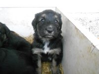 100000159953252pizapw1418735169.jpg