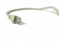 net-cable_2678805.jpg