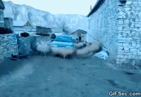 GIF-Sheep-force-field.gif