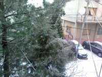 Фотографија0794.jpg