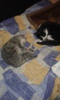 20150113_233648.jpg
