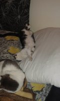 20150112_100628.jpg