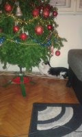20141207_234647.jpg