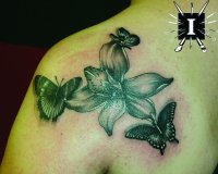 IMG_3229 copy.jpg