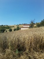 P28-06-14_18.03.jpg