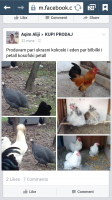 2015-01-24 03.10.39.png