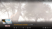 screenshot007.png