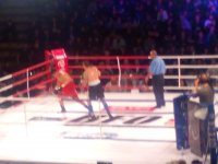 IMG_20150327_220721.jpg