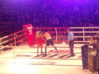 IMG_20150327_220718.jpg