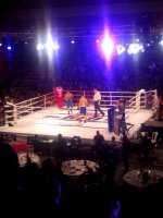 IMG_20150327_213600.jpg