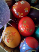 DSC00370.JPG