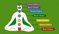 7chakra.jpg
