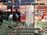 ferguson-looter-logic_c_3691205.jpg