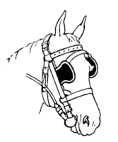 220px-Horse_head_(PSF).png
