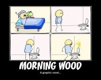 morning wood.jpg