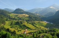 zaovine-planine-tara-srbija-mountain-serbia-by-jovan-jaric3 (1).jpg