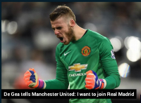 degea.png