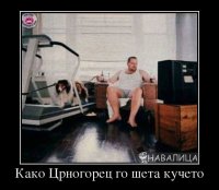 kuce.jpg