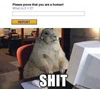 FB_IMG_1435068745348.jpg
