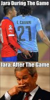 FB_IMG_1435243322374.jpg