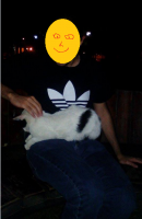 rtrewe.png