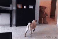07ce6d92019e24140093efc581ec0058.gif