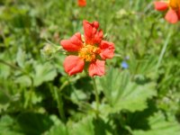 DSCN7793.JPG