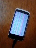 11798548_1022912261054157_203776990_n.jpg
