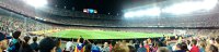 IMAG0382.jpg