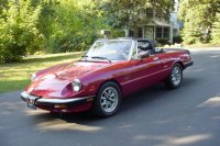 1987_alfa_romeo_spider-pic-21157.jpeg