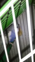WP_20151023_23_44_45_Pro.jpg