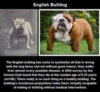 selective-dog-breeding-7.jpg