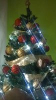 WP_20151225_23_13_49_Pro.jpg