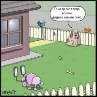 stripcinja-5.jpg
