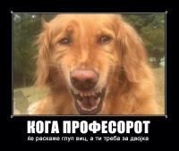 1628781d7ed6f94da397d31cf46dc890ggg.jpg