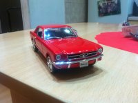 IMG_0769[1].JPG