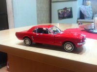 IMG_0770[1].JPG