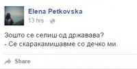 status1.jpg