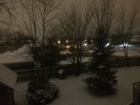image.jpeg