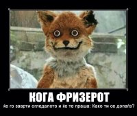 53059rrhjjk.jpg