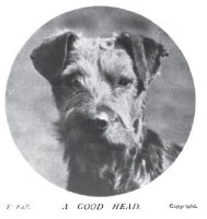 1908_AiredaleHead.jpg