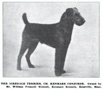 1917_Airedale2.gif